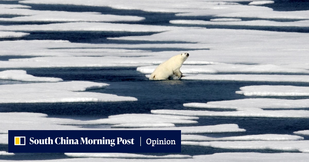Sino File | Chill out China and America, the Arctic is not worth a cold ...