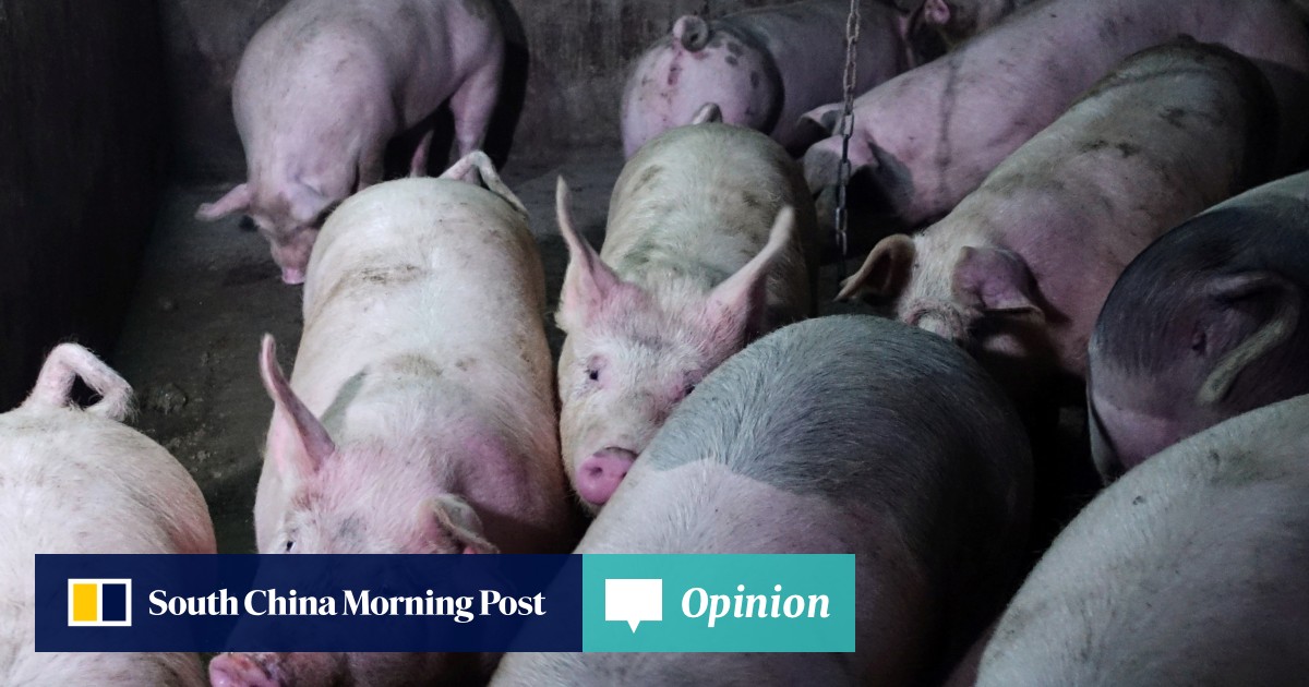 Sino File | Rising pork prices hide a far bigger problem for China’s ...