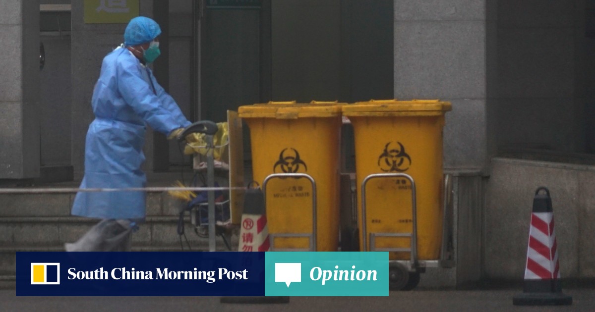 Opinion Bird flu, Sars, China coronavirus. Is history repeating
