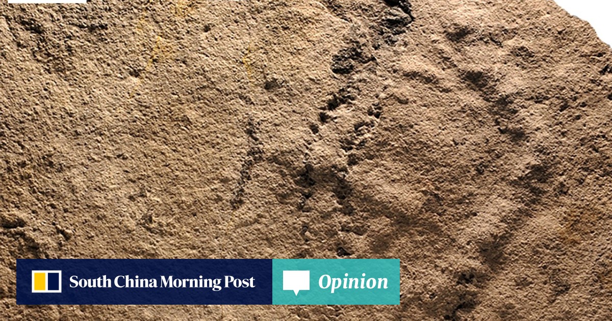 【廃盤・激レア・美品】footprints ランドシャット 24.0㎝ ブラウン 4145d4d4-69c2-11e8-8f2e-