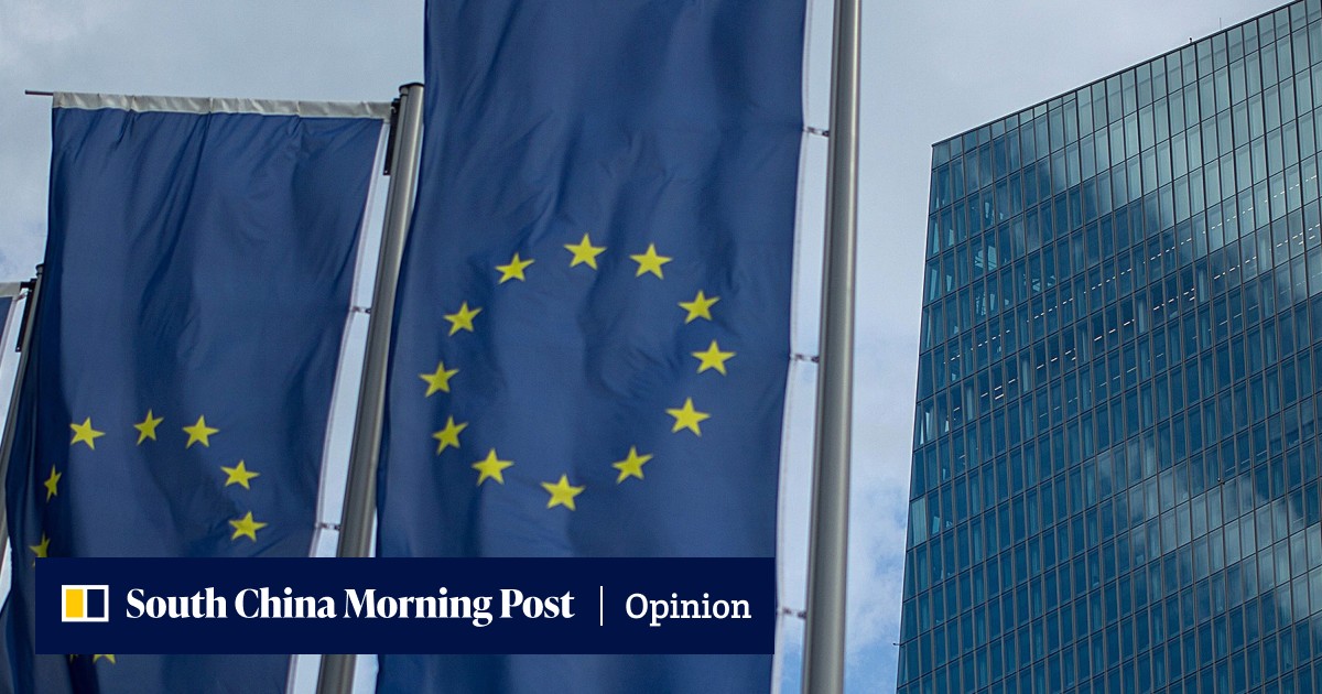 The View | If the euro is to remain viable, the democratic legitimacy ...