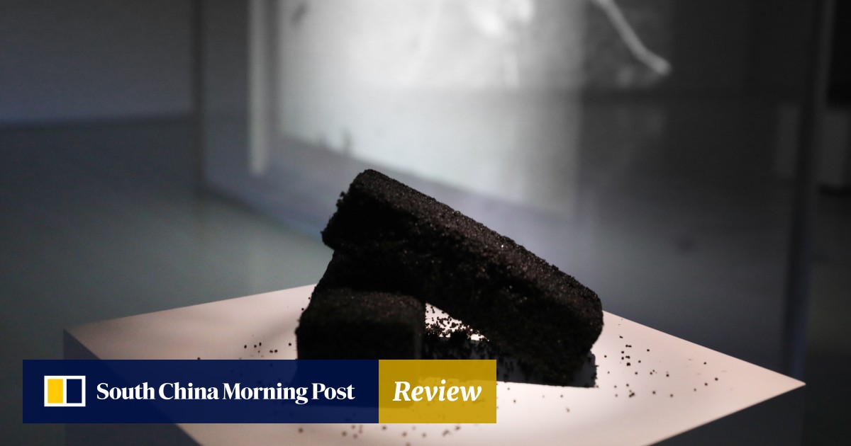 Dust cubes from 9/11, bricks made of dead ants – Hong Kong artist’s odd show