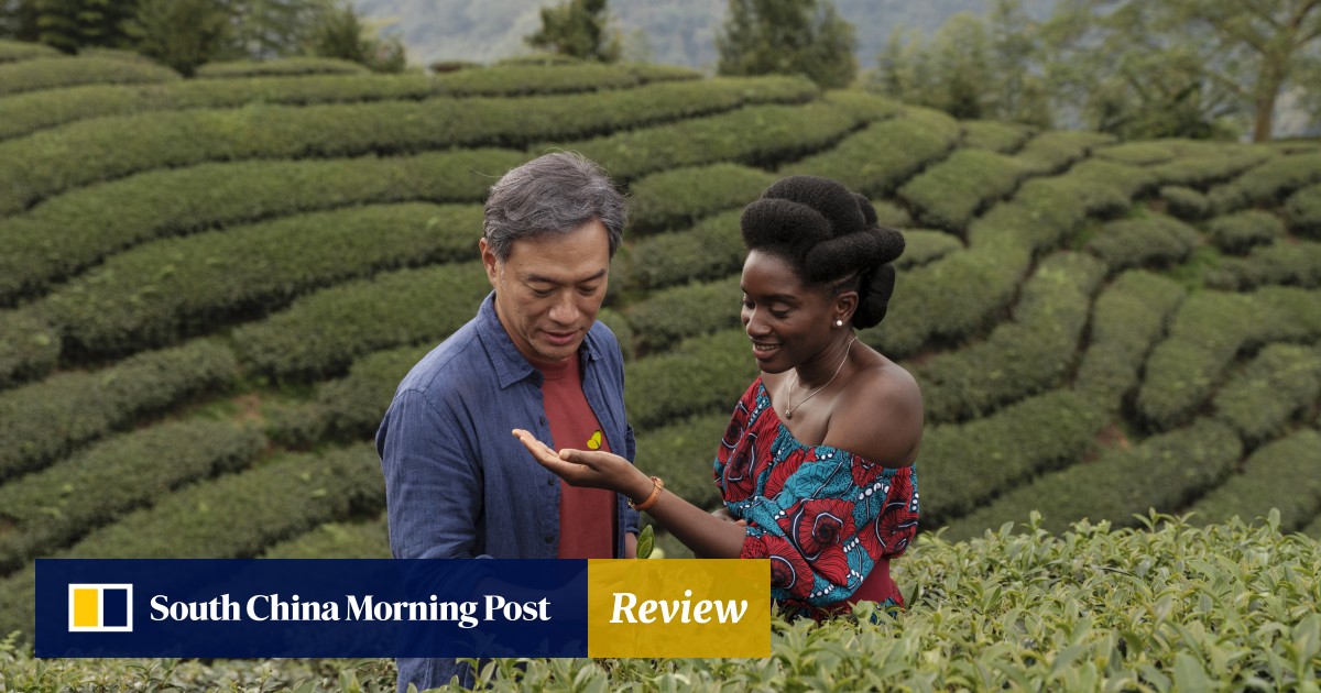 柏林2024：红茶影评——第一部由非洲人执导的关于旅居中国的非洲人的电影令人非常失望