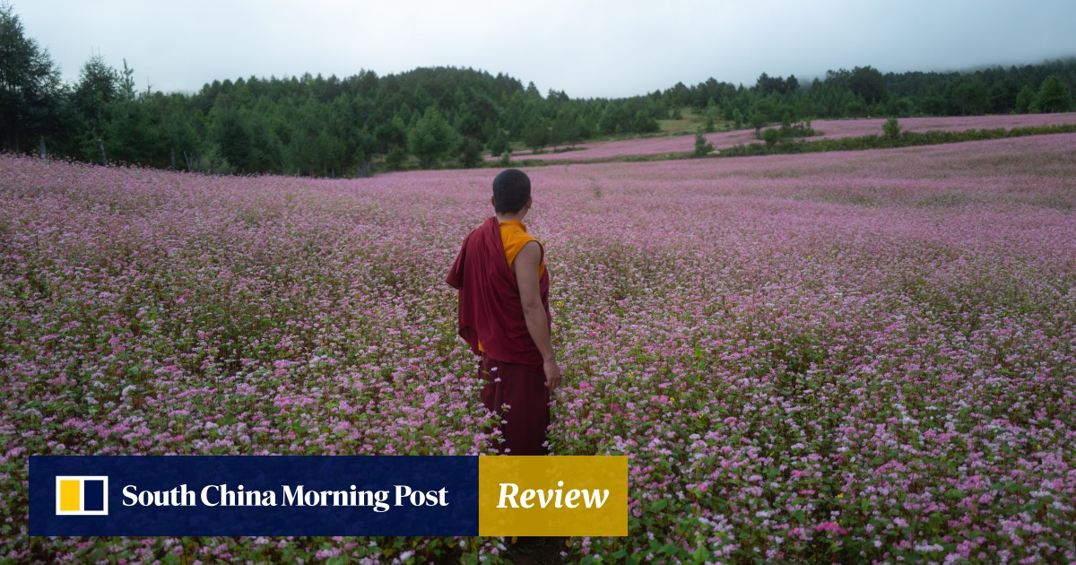 The Monk and the Gun movie review: Bhutan drama is a one-of-a kind political satire