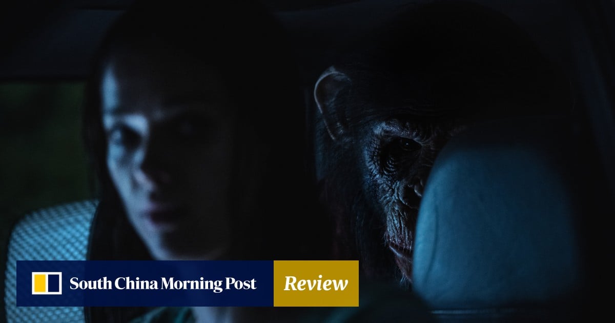 Primate movie review: 47 Meters Down director back for a bloody killer ape slasher