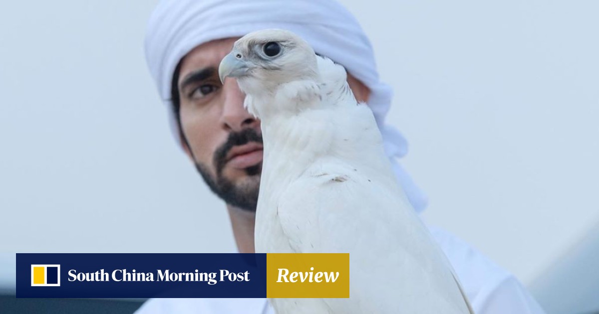 Sheikh Hamdan Crown Prince Of Dubai 4 Things To Know About The Politician Philanthropist Car Collector And Thrill Seeking Heir South China Morning Post