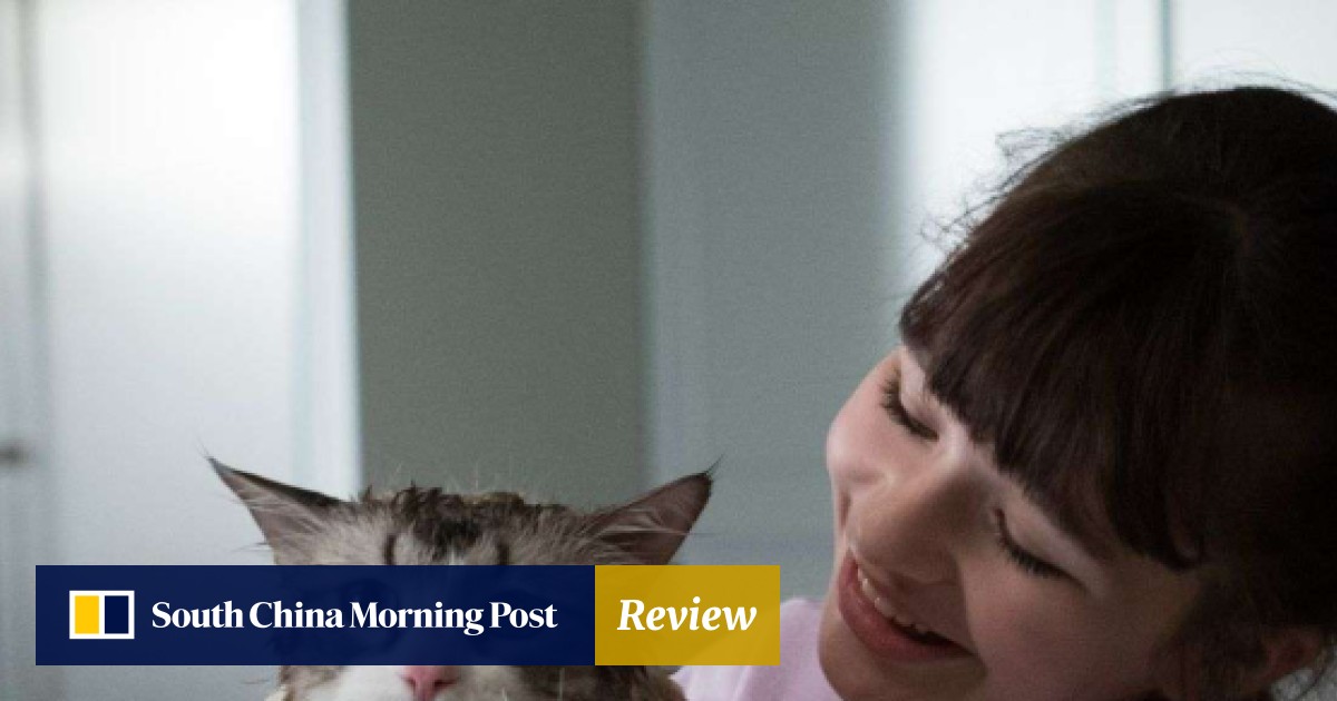 Film review: Nine Lives – Kevin Spacey loses his mind in abysmal