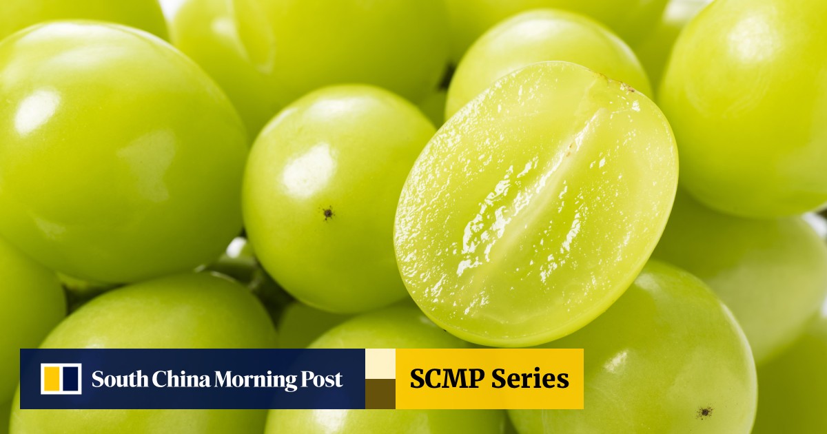 Which country produces the best Shine Muscat grapes China Japan