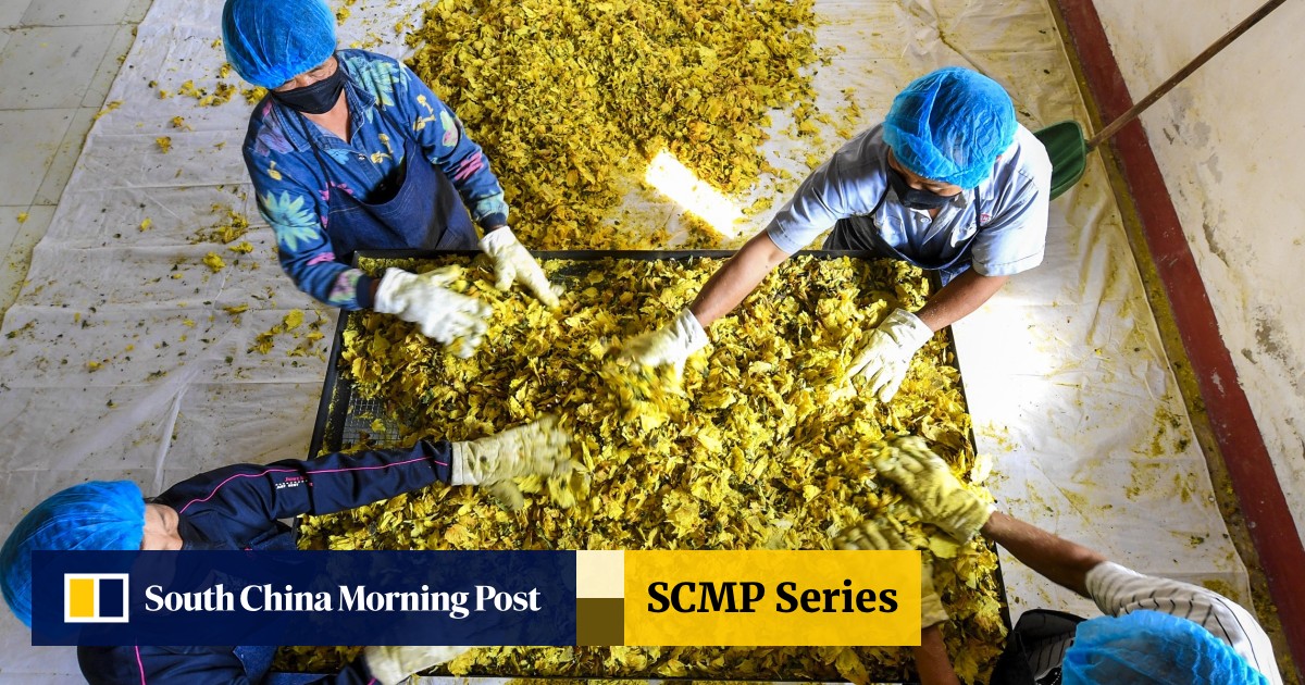 China S Countryside Returning To Poverty As Lack Of Reforms Help Fuel Urban Rural Divide South China Morning Post