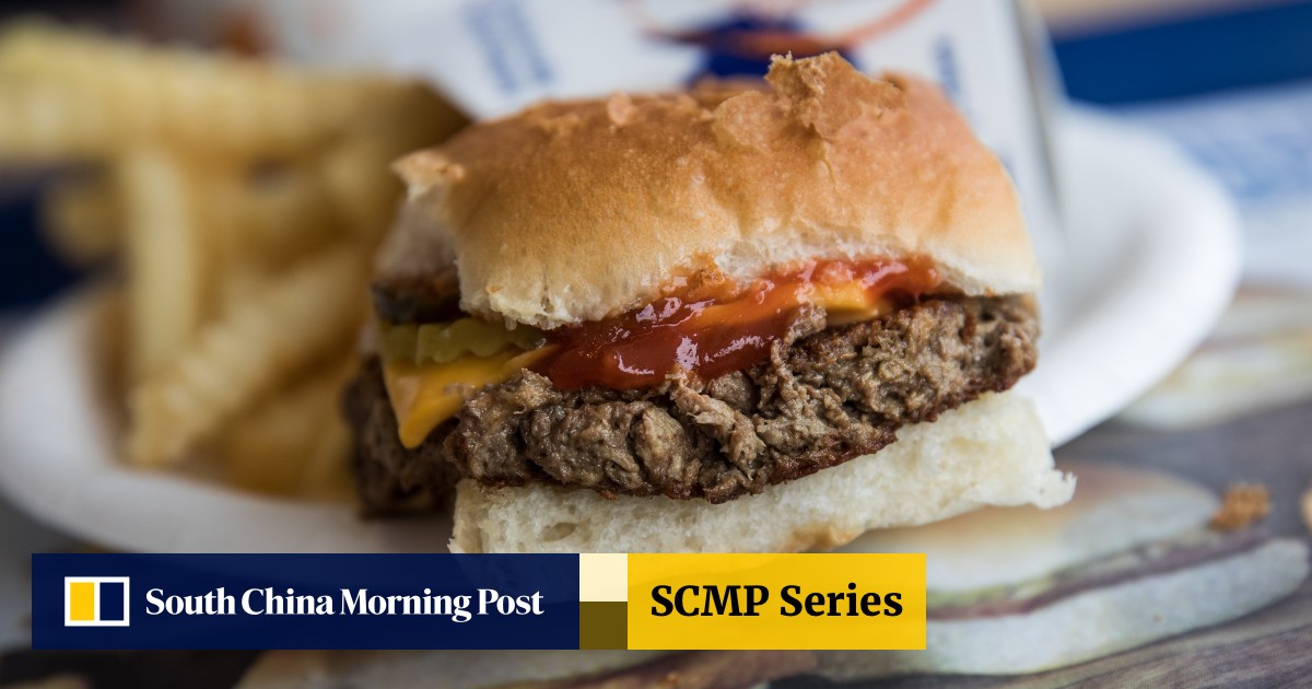 Factory Farming Seen To Trigger Next Global Pandemic Choose Plant Based Meat Alternatives To Reduce The Threat South China Morning Post