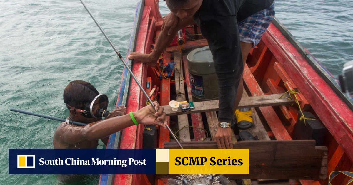 Dynamite fishing, drugs, threaten Myanmar's 'sea gypsies
