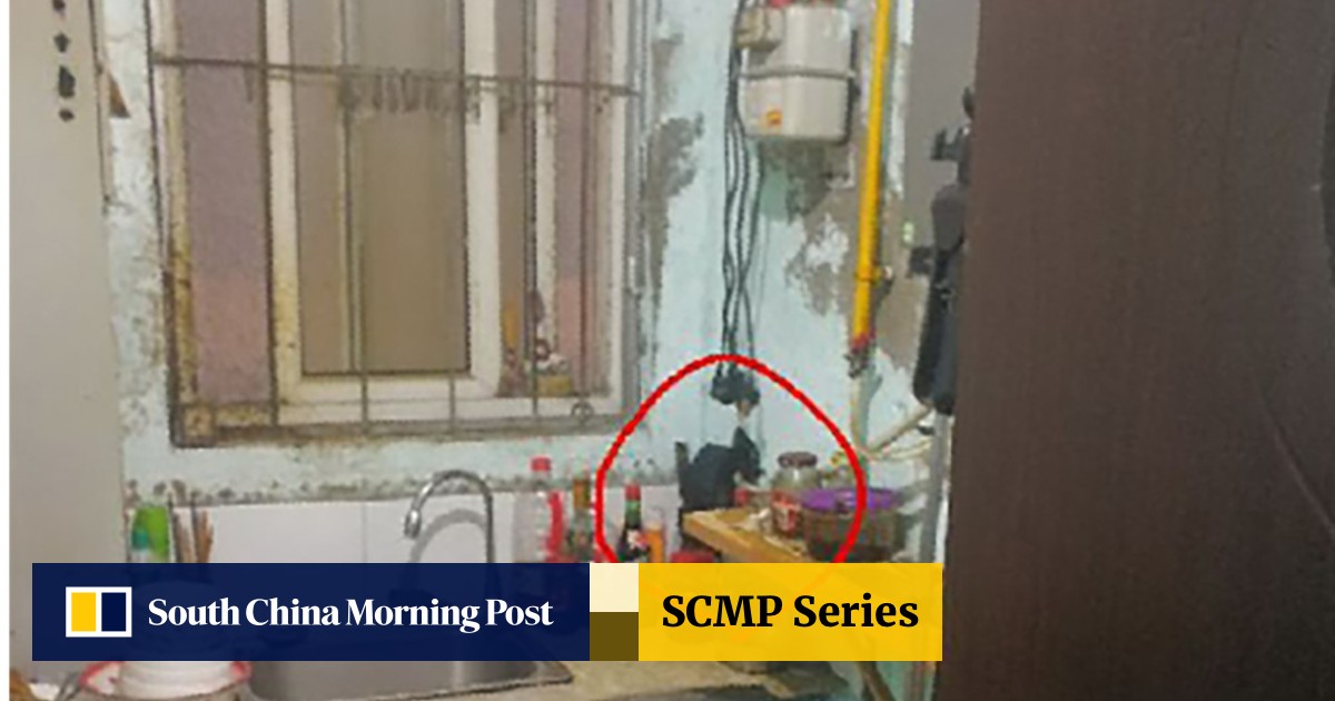 spying on girls in bathroom Illegal backpackers' inn owner caught spying on women's shower | South  China Morning Post