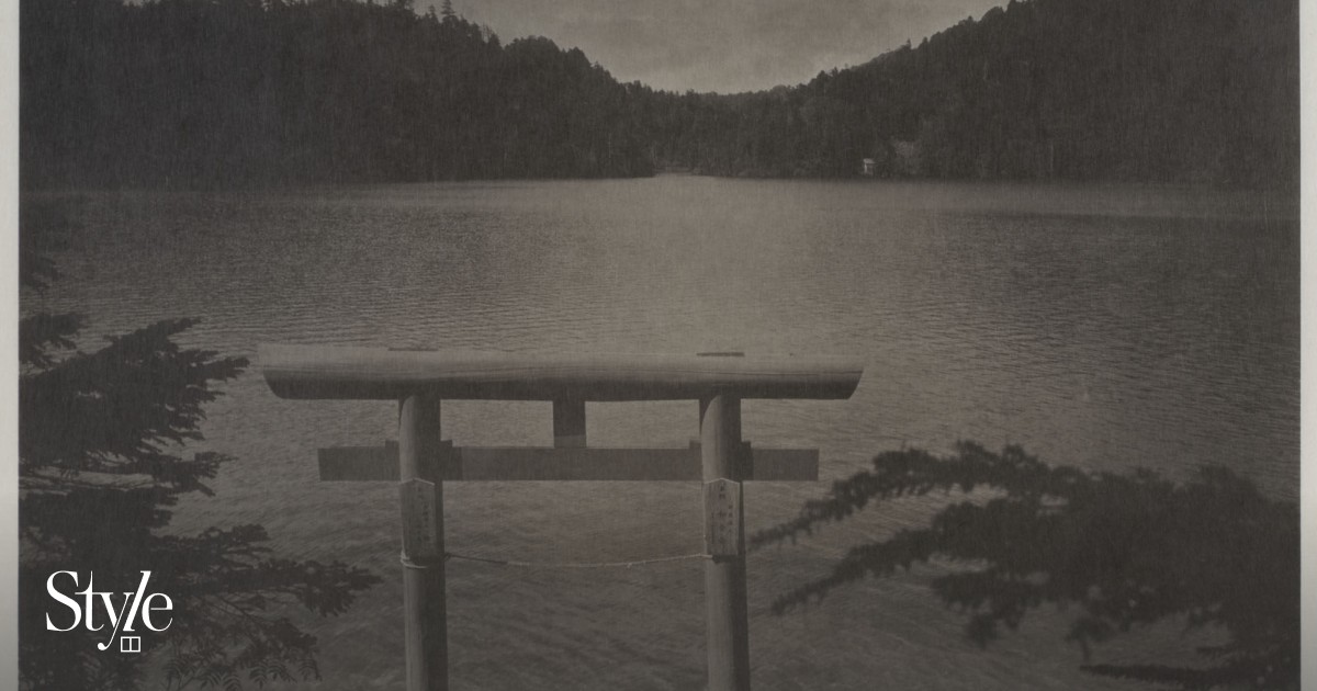 Slow photography: delicate, painterly forest landscapes of Japan's