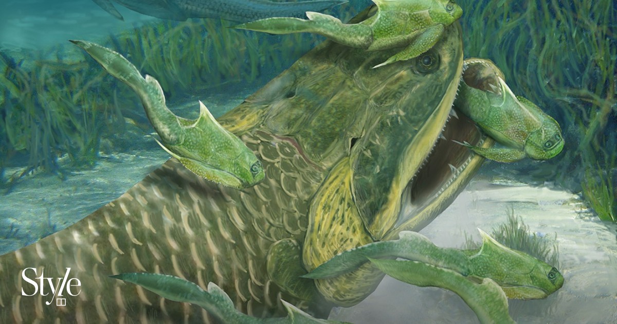 小物 tetrapod b06c1ffa-a436-11e7-84b5-