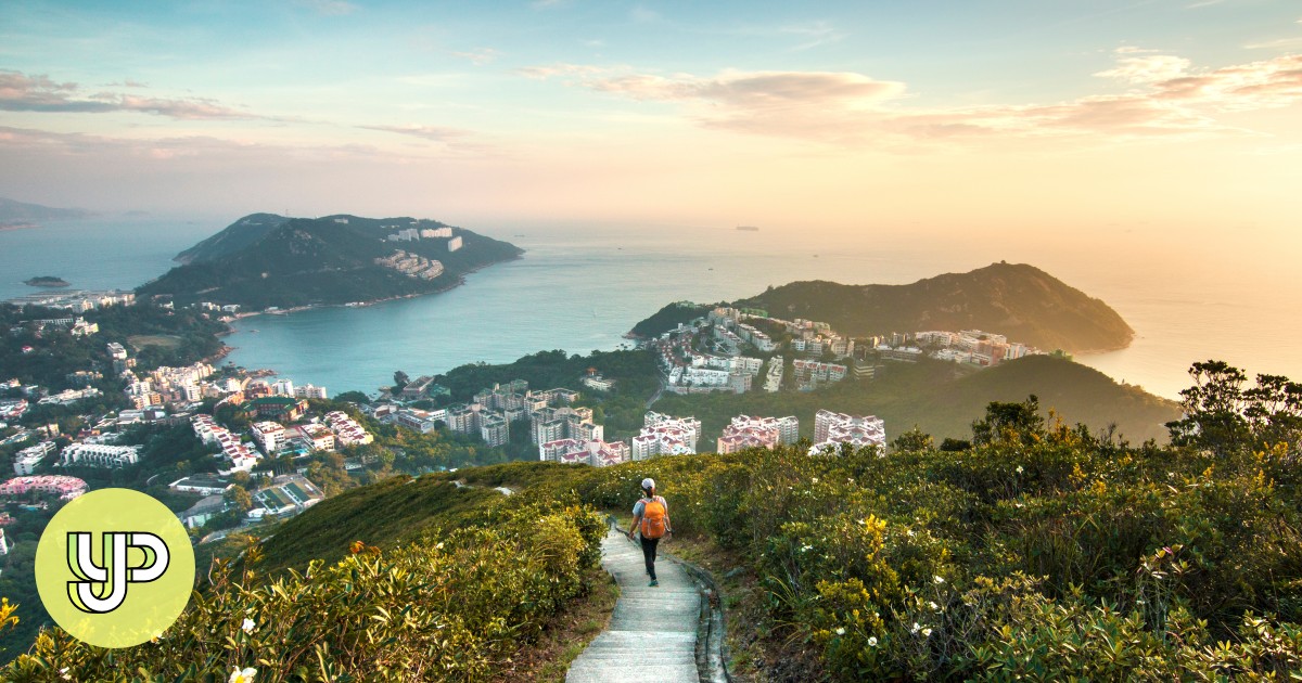 5 dangerous animals you could encounter on Hong Kong's hiking trails