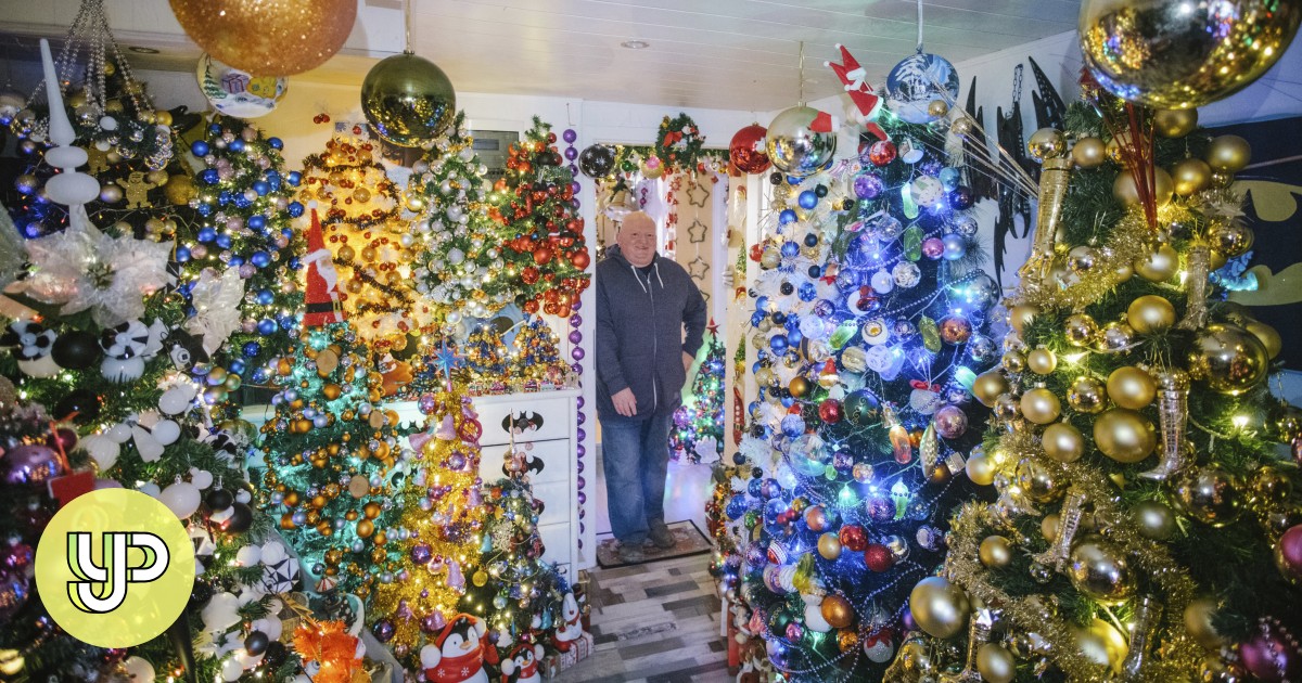 5minute listening German couple’s 444 Christmas trees has broken a