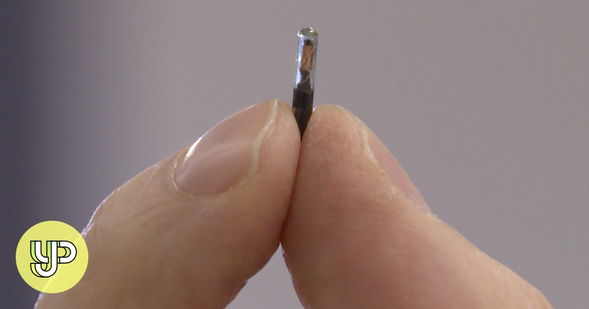 Coronavirus Swedish company implants Covid19 heath pass microchip under users’ skin YP