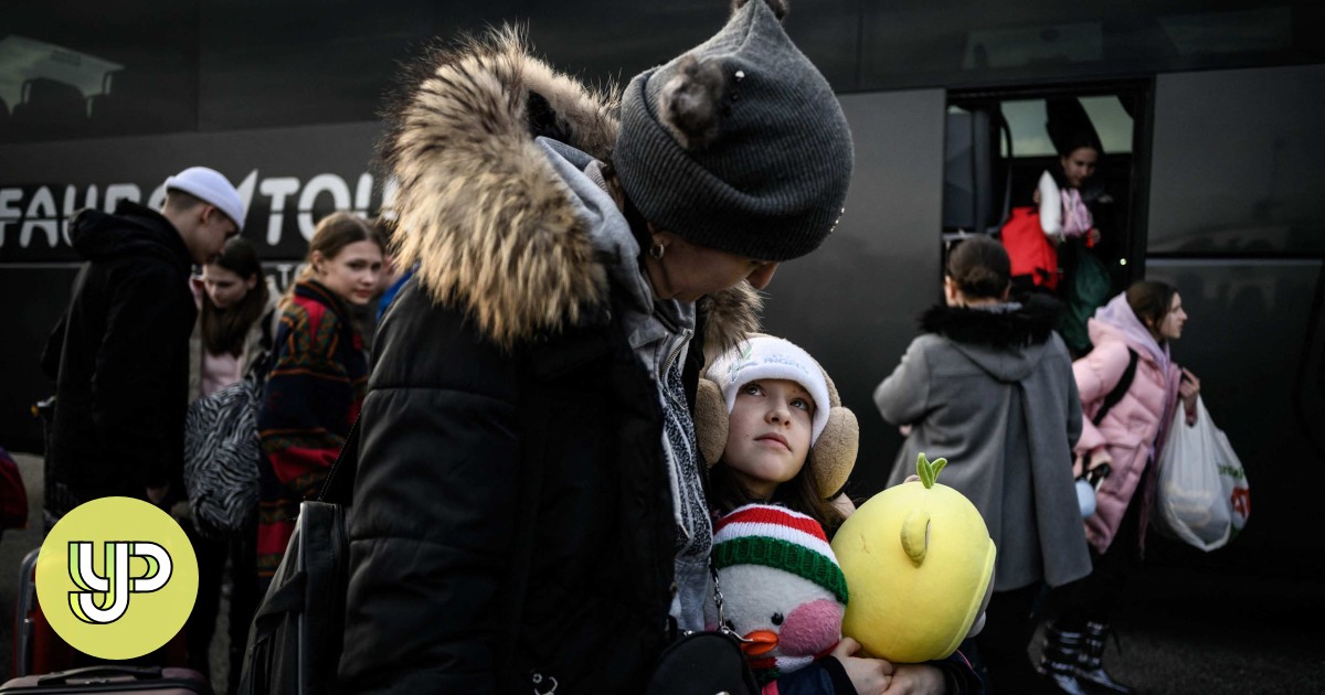 Ban on Russian cats joins the list of sanctions after Ukraine invasion