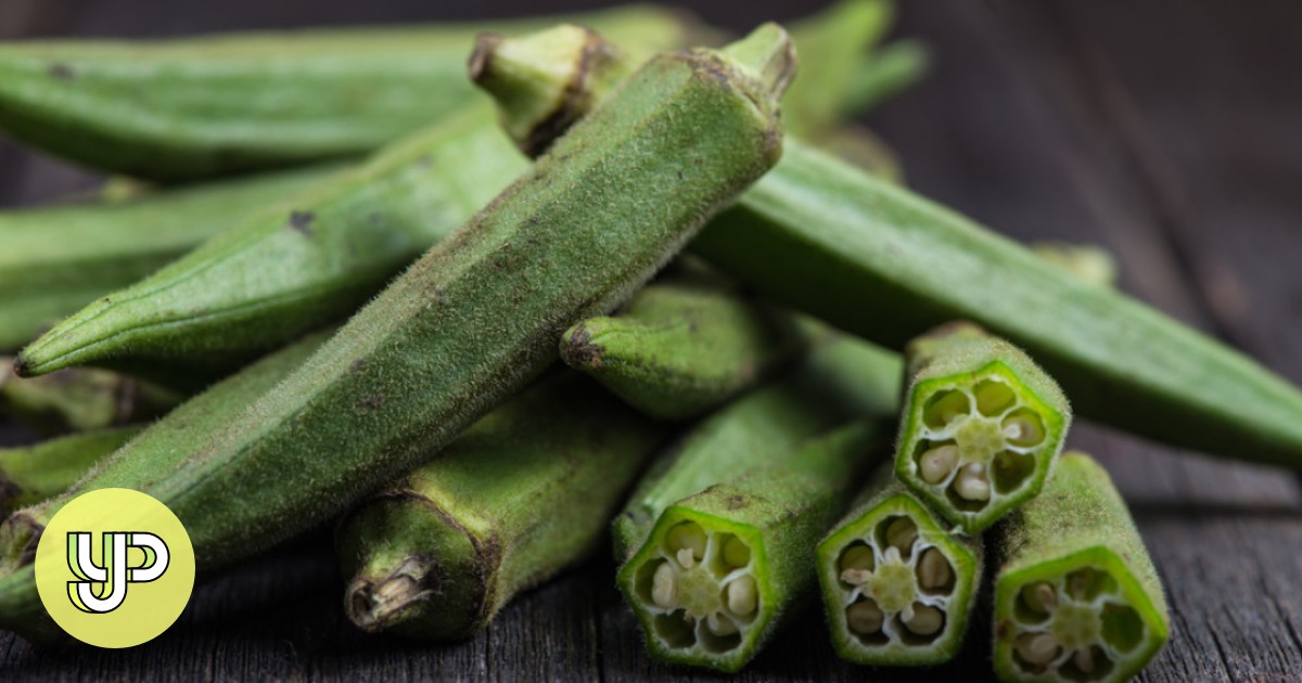 Растение бамия окра. Бамия азербайджанская сладость. Семена бамия бомбей. Бамия,окра, абельмош. Бамия окра.