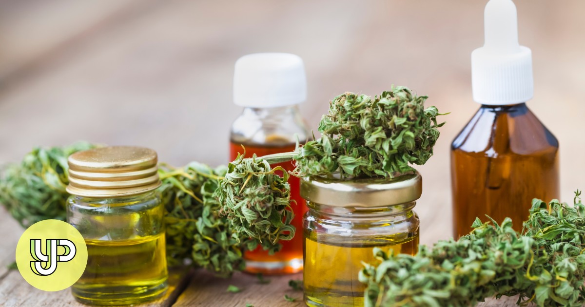 Hot Topics: Hong Kong proposes banning CBD – YP