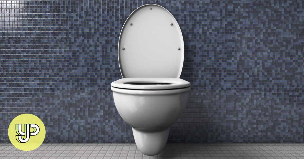 Rest vroom Japan’s oldest toilet damaged in car crash YP South