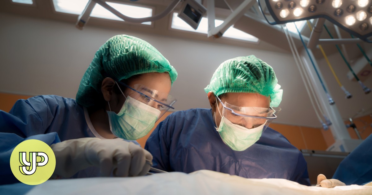 Hot Topics: Why Hong Kong officials want to discuss cross-border organ donation plan with Beijing - YP - Vimarsana News