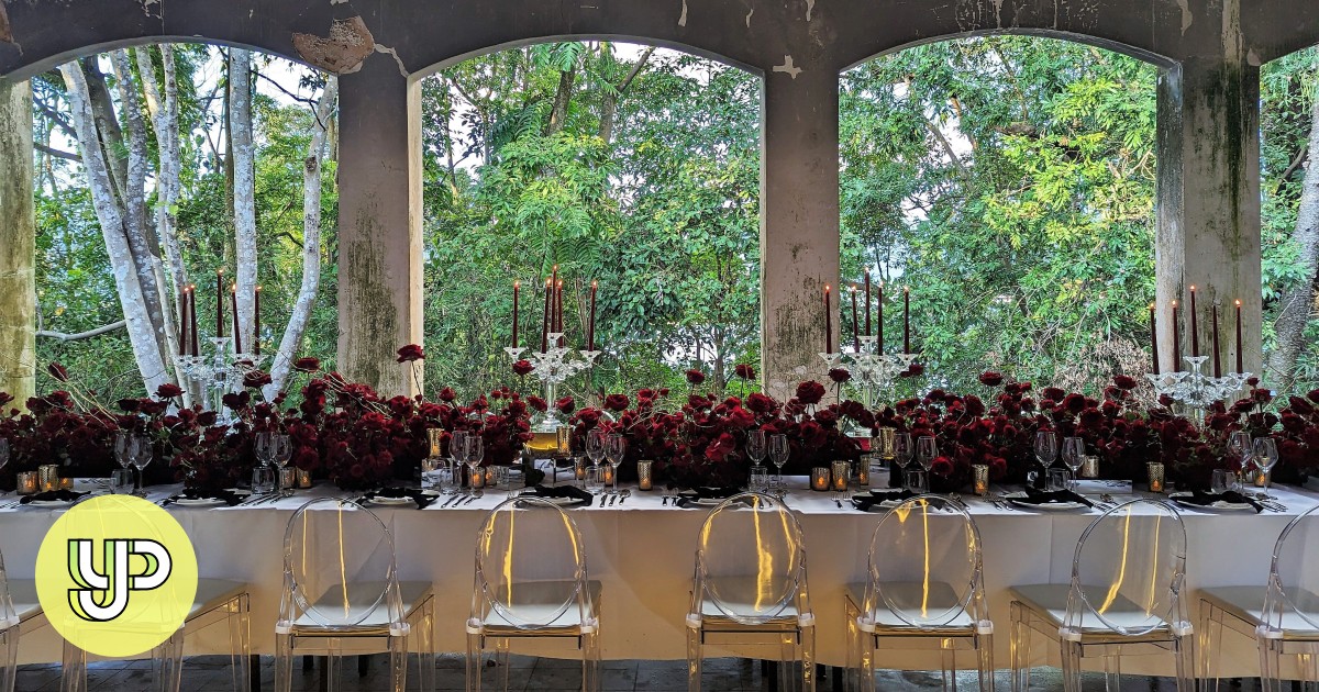 Study Buddy (Challenger): Interior designer loves Hong Kong's deserted homes so much, she held a luxury dinner at one - YP - Vimarsana News