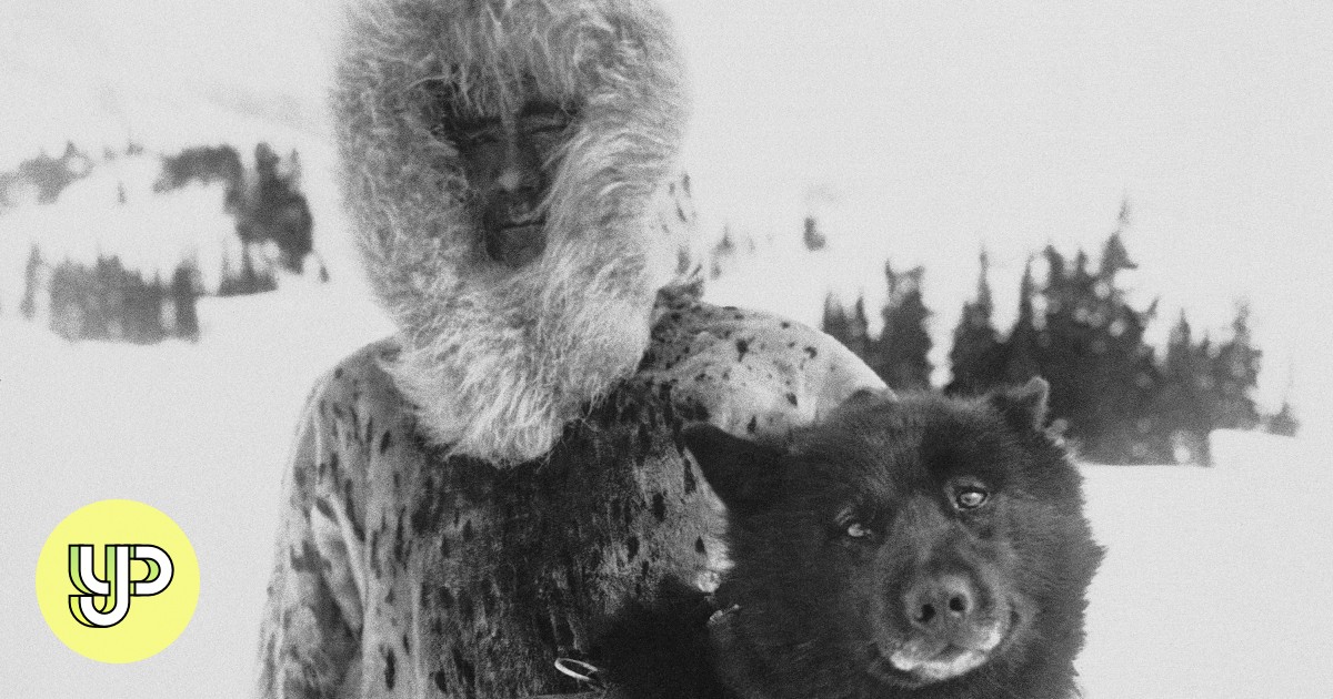 A good dog with great genes: DNA study of Balto, the famed husky ...