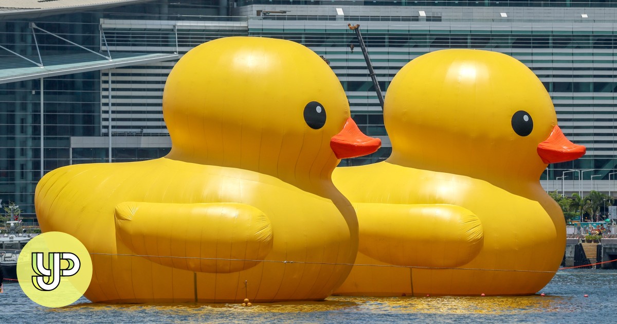 f8f2c48a-94ff-4992-83d9-697f15516e82_75f