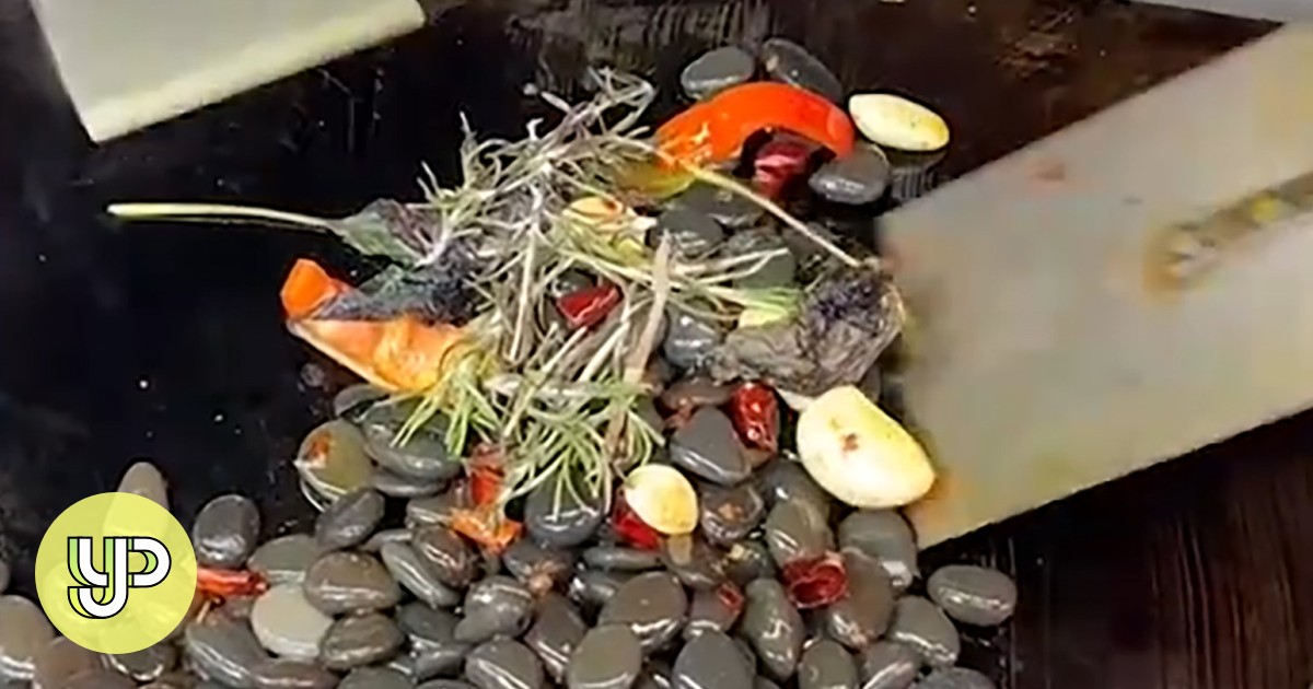 Study Buddy (Explorer) Stirfried pebbles with seasoning in China goes