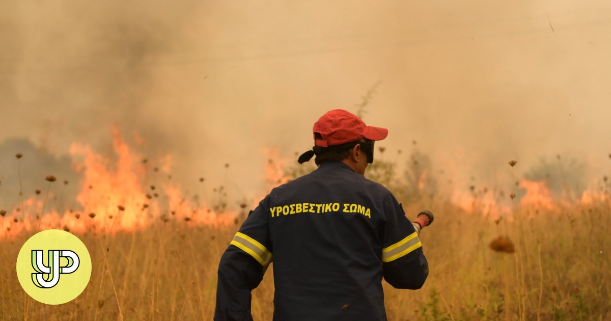 Climate change boosts risk of extreme wildfires 25 per cent, study finds - Vimarsana News