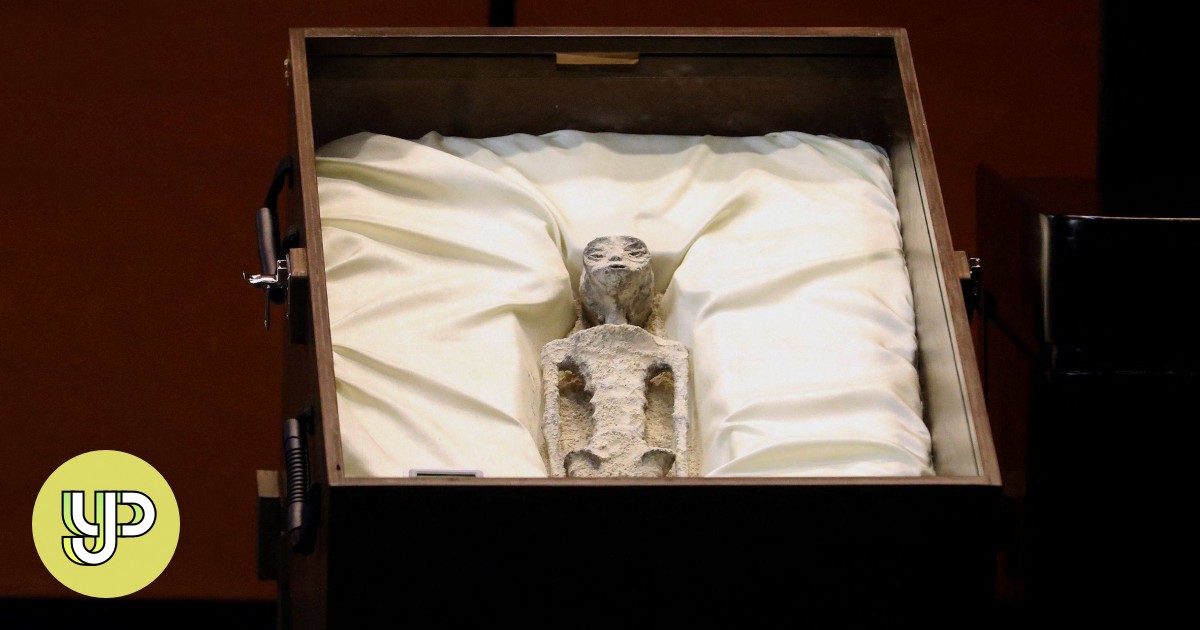 Not Human Structures Alleged bodies of ‘non-human beings’ shown in Mexican Congress - Young ...