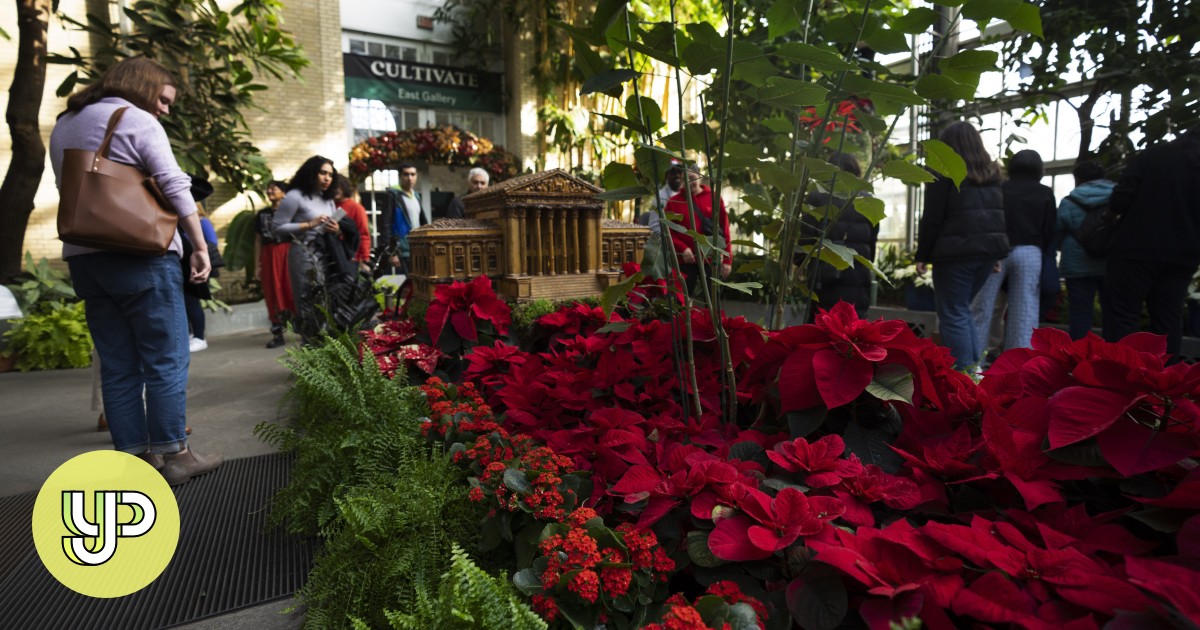 Joel Poinsett: all about the namesake of poinsettia, a secret agent and perpetrator of the 'Trail of Tears' - YP - Vimarsana News