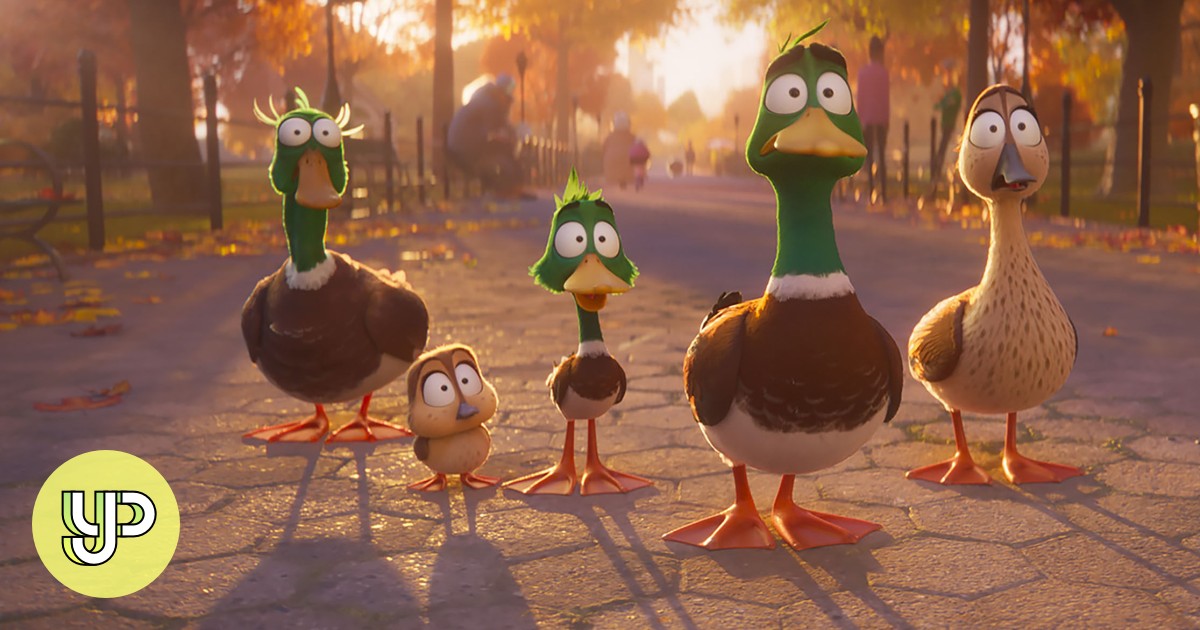 Temper expectations before flocking to watch ducks in ‘Migration