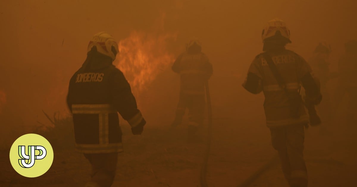Incendios forestales en Chile, inundaciones en California, sequía en España: las condiciones climáticas extremas pasan factura al mundo – YP