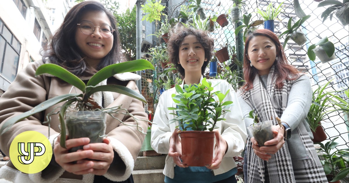 How a few Hong Kong neighbourhoods were rooted in community thanks to a plant library project - YP - Vimarsana News