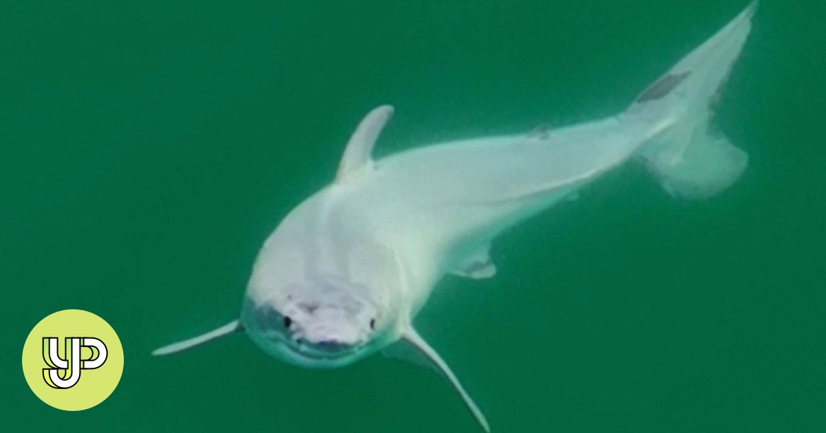 Drone footage captures what is probably the world’s first sneak peak of