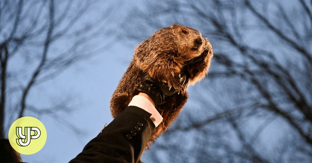 5 Minute Listening Punxsutawney Phil Predicts Early Spring During Annual Groundhog Day