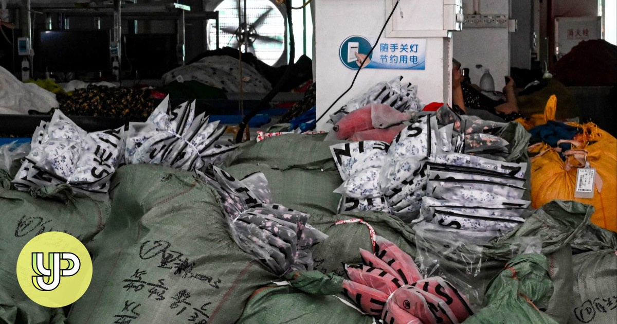 Fast fashion drives up textile waste in China as recycling takes a back seat