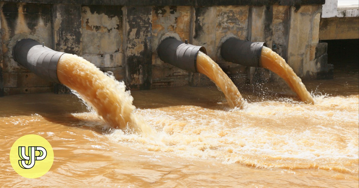 Las Vegas’ ‘Disneyland of poop’ turns sewage into a public health gold
