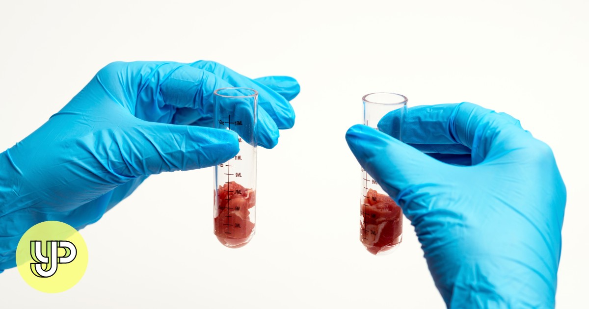 Meat grown in space for first time at International Space Station with ...