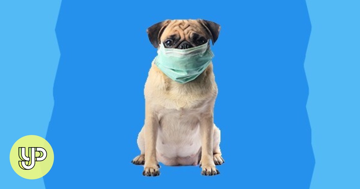 why-do-i-have-bad-breath-when-i-wear-a-face-mask-yp-south-china