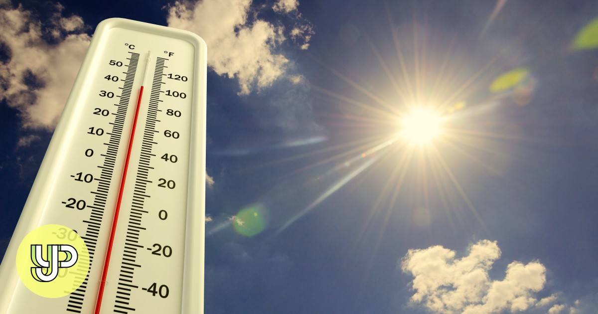 Explainer What to do if the hot weather makes you sick YP South