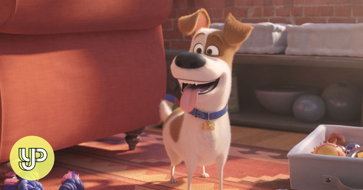 What do pets do when you're not home? Find out in 'The Secret Life of