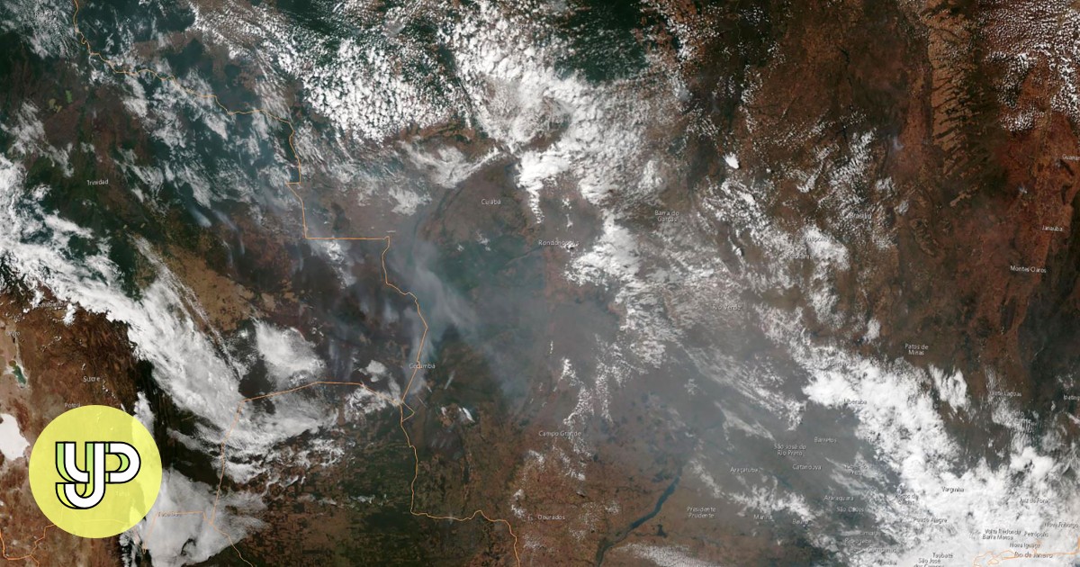 Amazon Rainforest Fires In Brazil Burning At A Record Rate As The ...