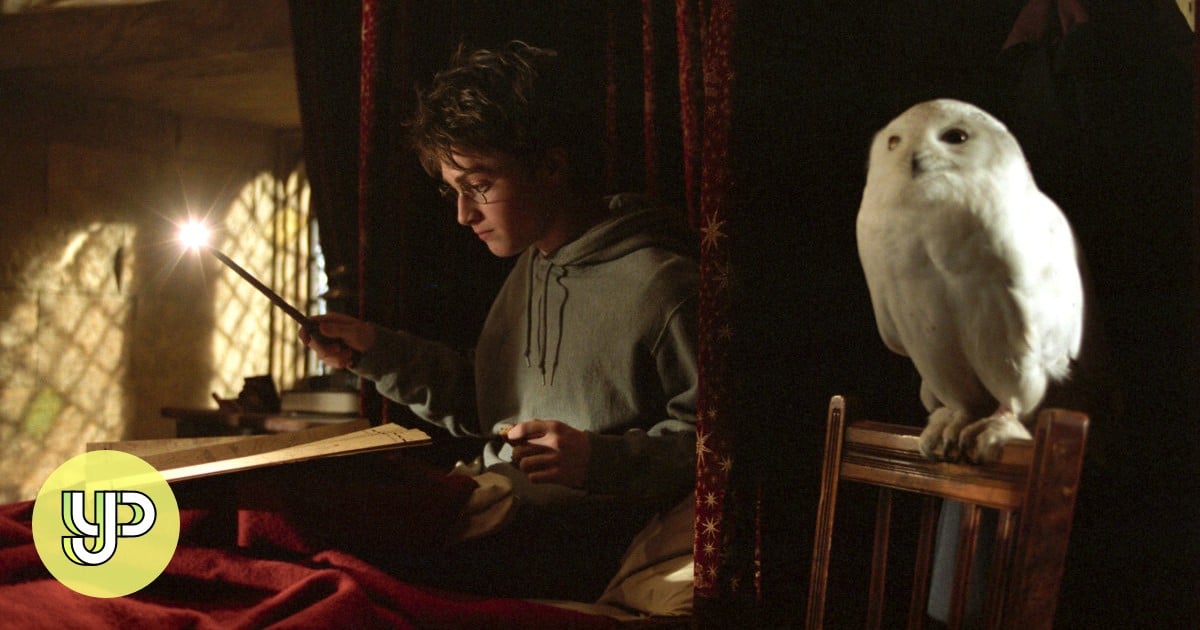 Can harry potter’s invisibility cloak be made in real life? Scientists at uc berkeley are hopeful