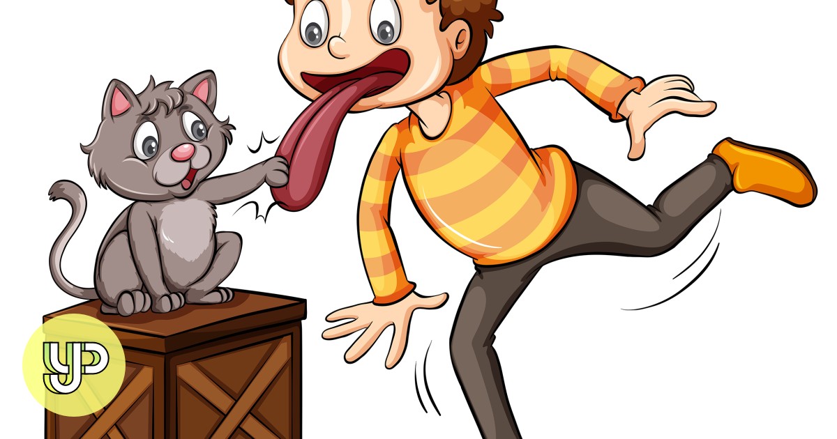 A Guide To Cat Idioms And Expressions And How To Use Them Yp
