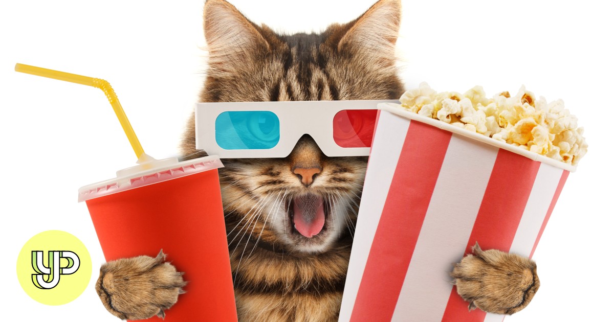 Life Of Pi Hachi A Dog S Tale Cats Dogs Here Are 13 Live