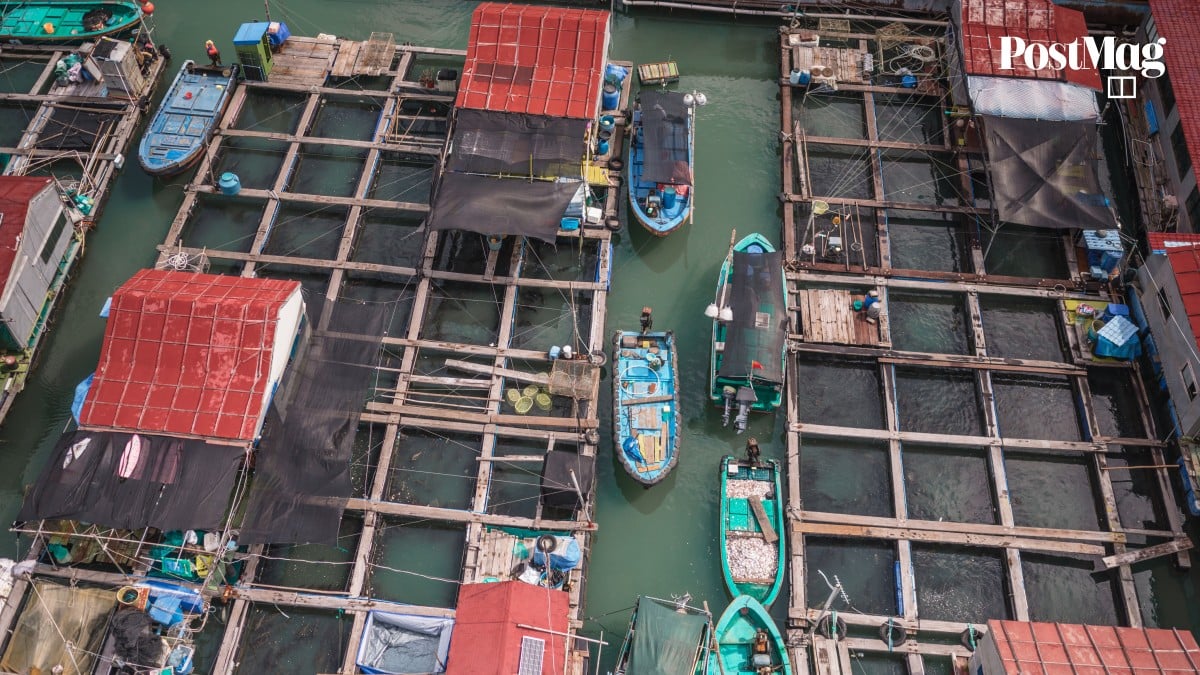 https://cdn.i-scmp.com/sites/default/files/styles/og_postmag/public/d8/images/canvas/2025/08/29/ff1c7141-aa51-4bd4-94dd-62055f447a64_59df493a.jpg?itok=0Io5ygJg&v=1756441118