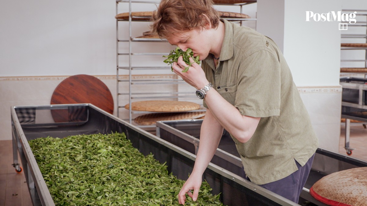 An American student’s quest to discover the secrets of tea